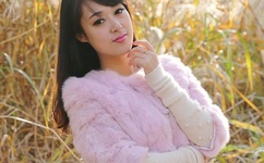 女士胸罩无遮挡透明图片